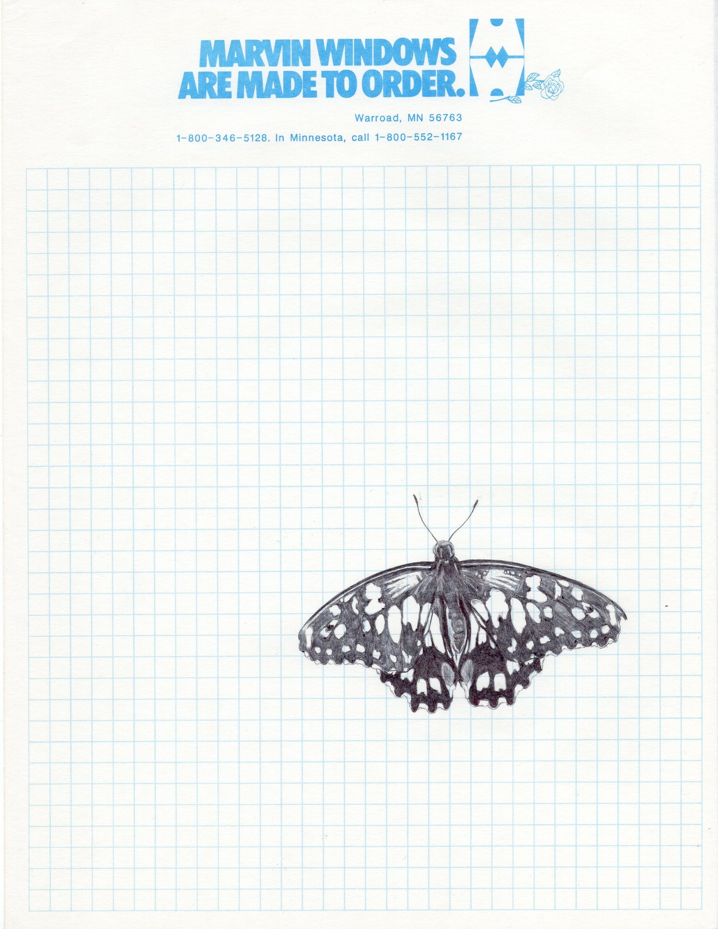 Neva Hosking: Butterfly I (2024)